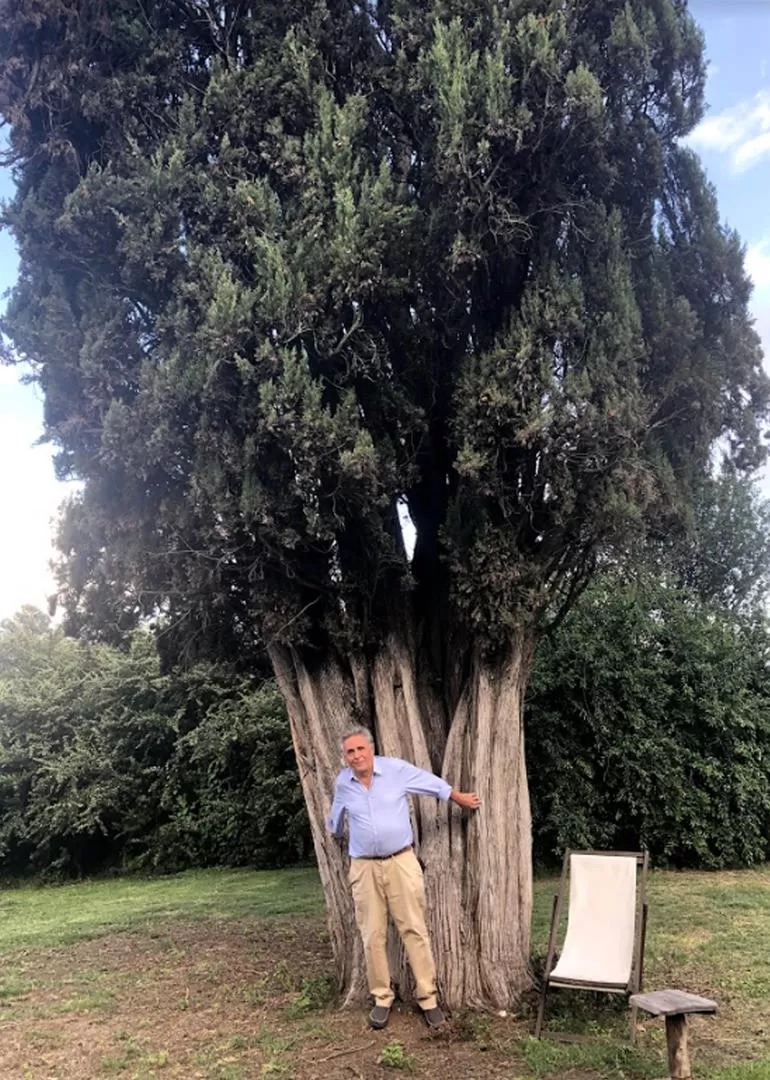 A LA SOMBRA DEL CIPRÉS. Solano Peña se abraza al árbol que domina el fondo de la estancia Las Tacanas. 