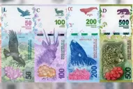 Los nuevos billetes no tendrán costo extra