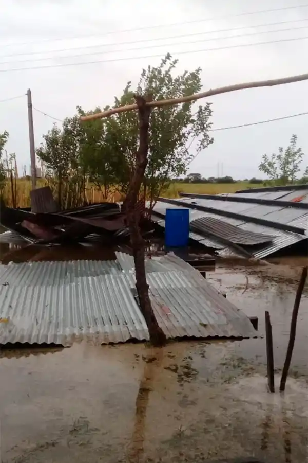El viento volteó techos y árboles y el agua anegó calles y pueblos del interior