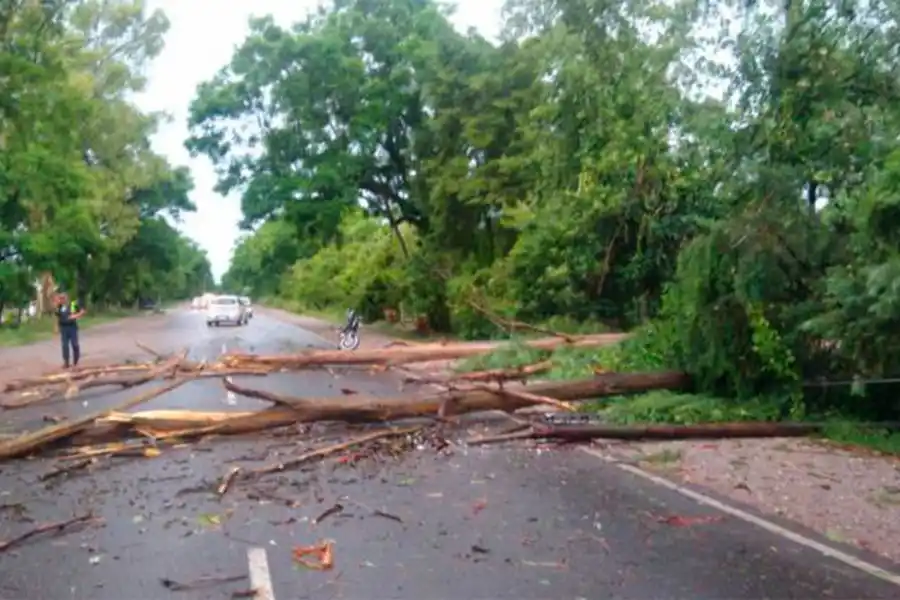 El viento volteó techos y árboles y el agua anegó calles y pueblos del interior