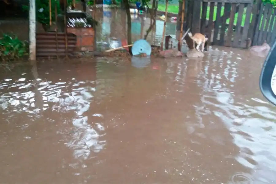 El viento volteó techos y árboles y el agua anegó calles y pueblos del interior