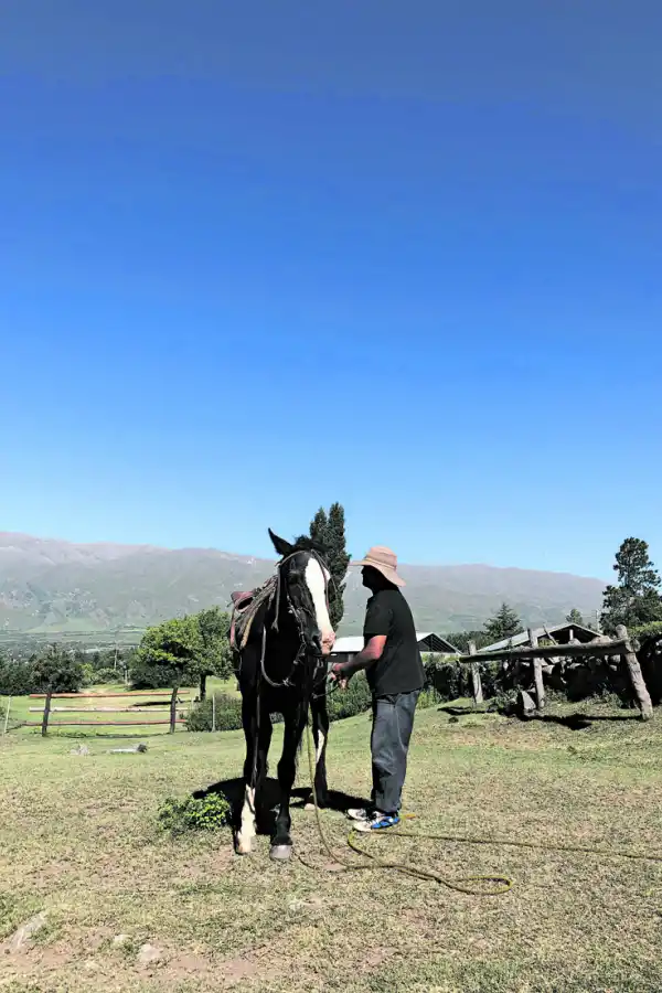 Al paso, al trote y al galope