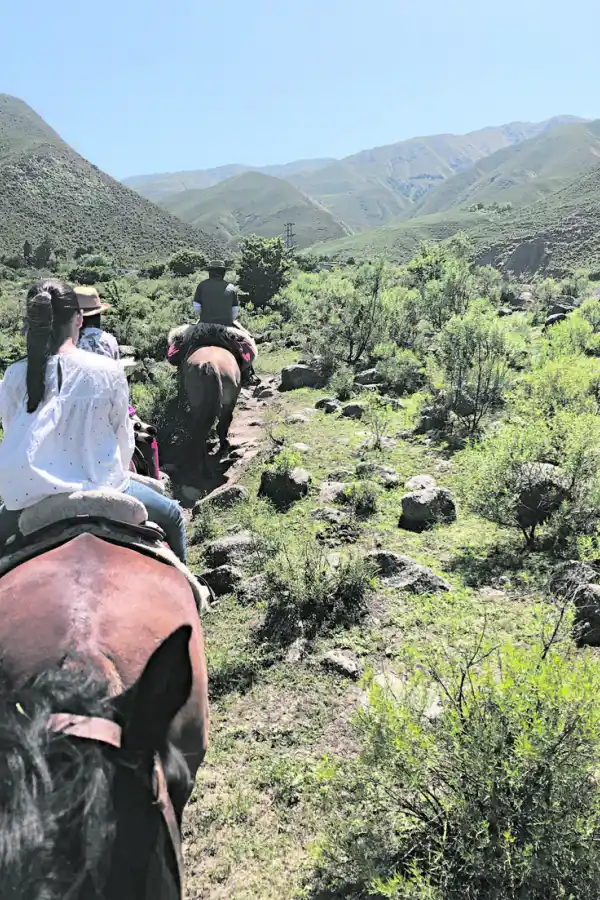 Al paso, al trote y al galope