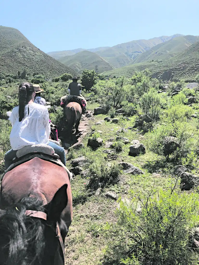 Al paso, al trote y al galope