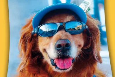 Lo que tenés que saber si salís de viaje con tu mascota