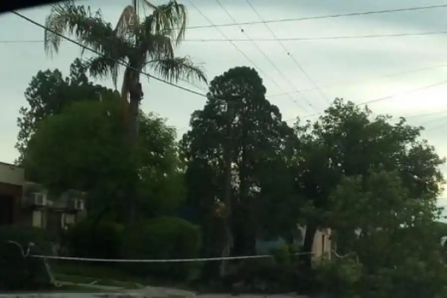 La tormenta de anoche hizo estragos en el interior de la provincia