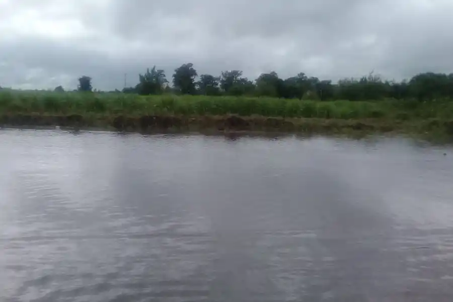La tormenta de anoche hizo estragos en el interior de la provincia