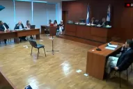 Causa Alperovich: no hizo nada la Justicia tucumana, dijo el defensor de la joven