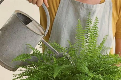 Si ayudás a tus plantas a vencer el estrés, ellas te ayudarán con el tuyo