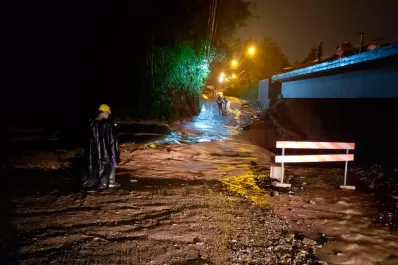 Un árbol caído y el terraplén consumido anegan la ruta 338 camino a San Javier