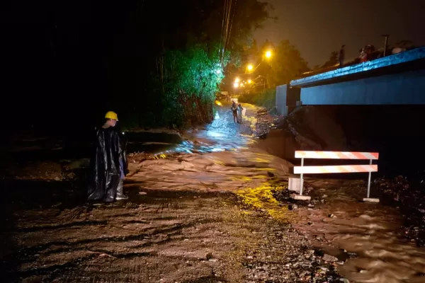 Un árbol caído y el terraplén consumido anegan la ruta 338 camino a San Javier
