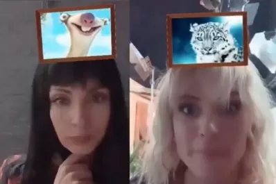 ¿A qué animal te parecés?: el filtro que se volvió viral entre los millennials