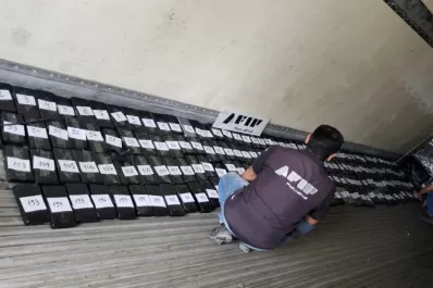 Secuestran en Salta más de 200 kilos de cocaína escondidas en un cargamento de bananas