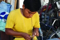 Bomberos de Bolivia tejen nidos para koalas y canguros de Australia 