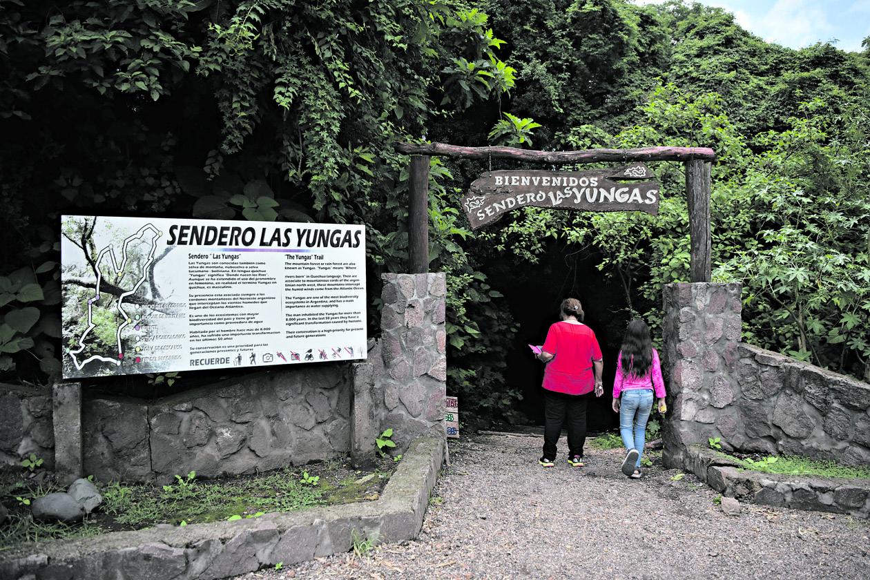OTRO PLAN. Ya en la cima del cerro Médici, los turistas pueden ingresar a un sendero rodeado de vegetación.