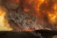 Los incendios están “mutando” por culpa del cambio climático