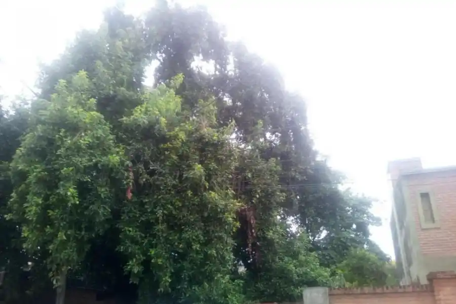 Ruta en mal estado cerca de Colalao del Valle