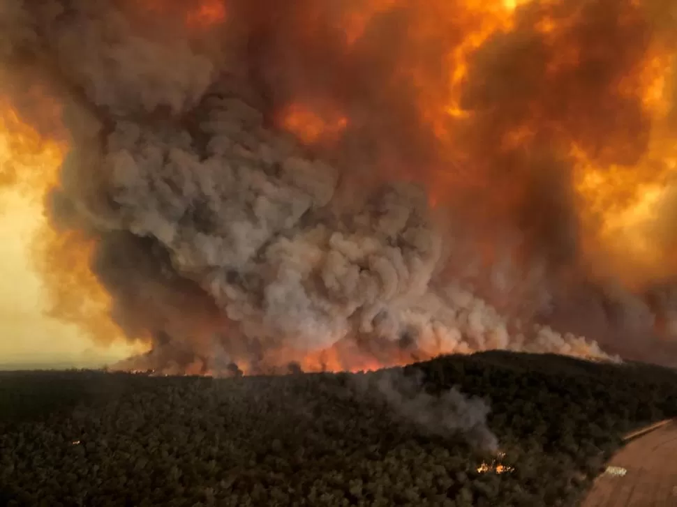 CIFRAS. En Australia los incendios quemaron más de 5 millones de hectáreas. 