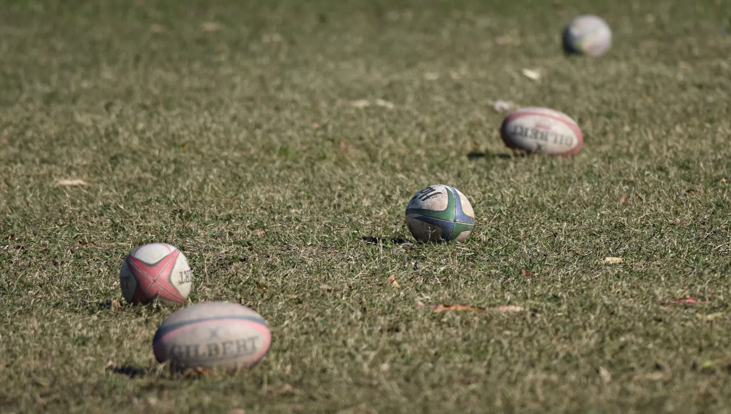 El 40% de los lectores de LA GACETA considera que el rugby exacerba la violencia