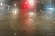 Las lluvias, otra vez: hubo calles anegadas, cortes de luz y caída de árboles