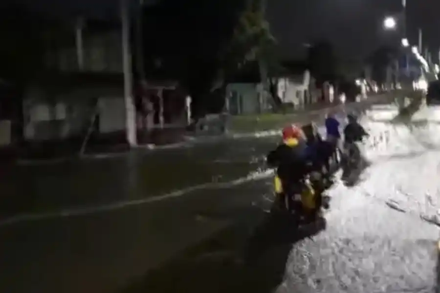 Las lluvias, otra vez: hubo calles anegadas, cortes de luz y caída de árboles
