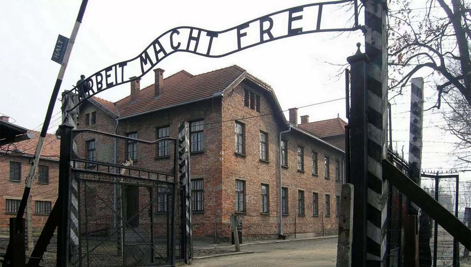 Auschwitz: si visitaste el campo de exterminio, contanos tus sensaciones