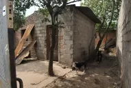 Los casos de femicidio durante el año en Tucumán