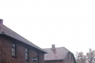 Auschwitz nos interpela para trabajar por la paz como un derecho humano irrenunciable