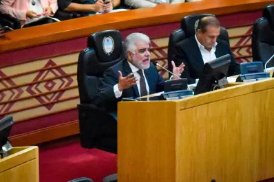 Pelea en el oficialismo: sería muy miserable de mi parte intentar sacar una ventaja política