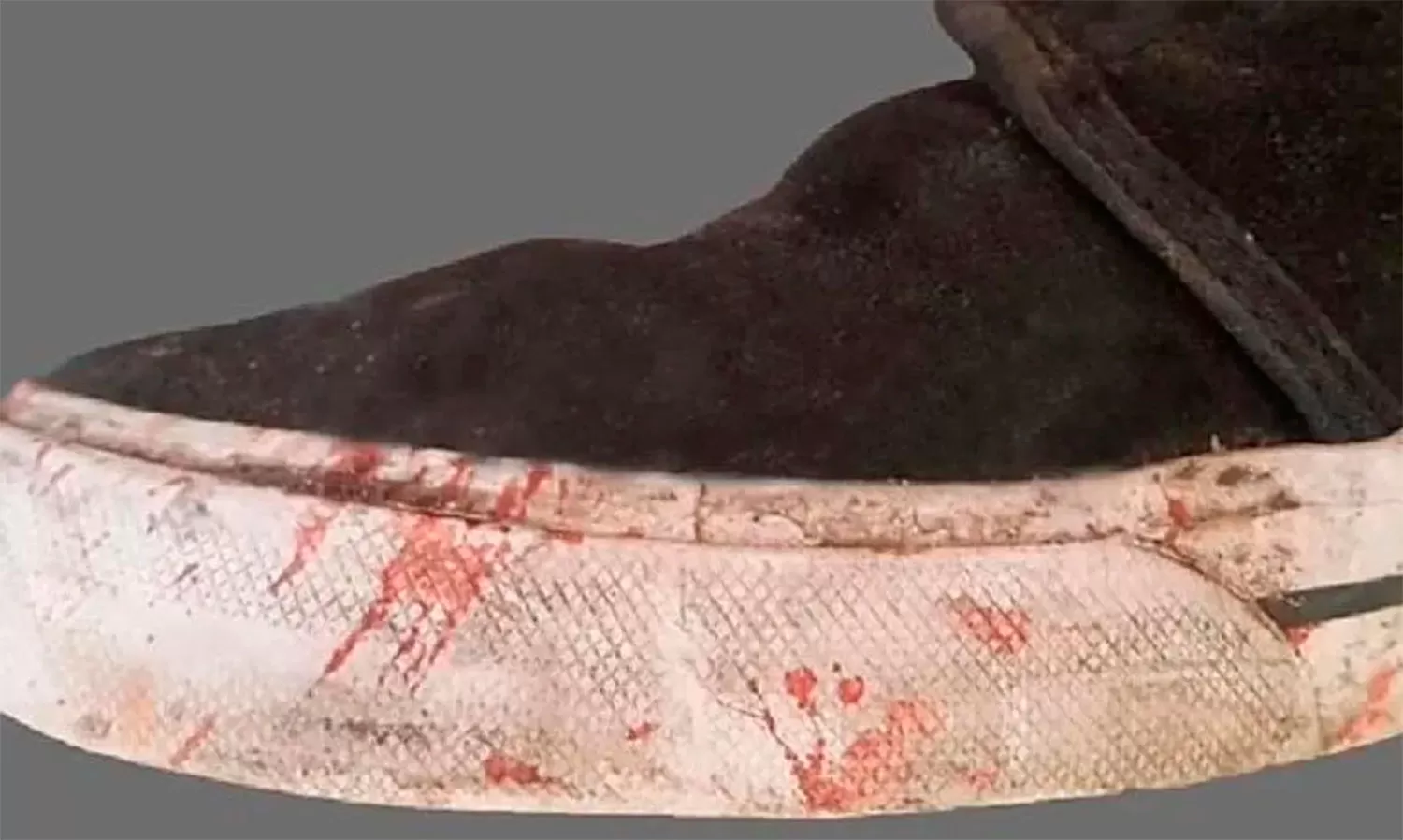 Esta es la zapatilla con la que patearon a Fernando Báez Sosa hasta matarlo