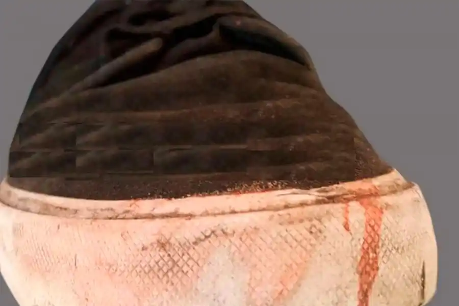 Esta es la zapatilla con la que patearon a Fernando Báez Sosa hasta matarlo