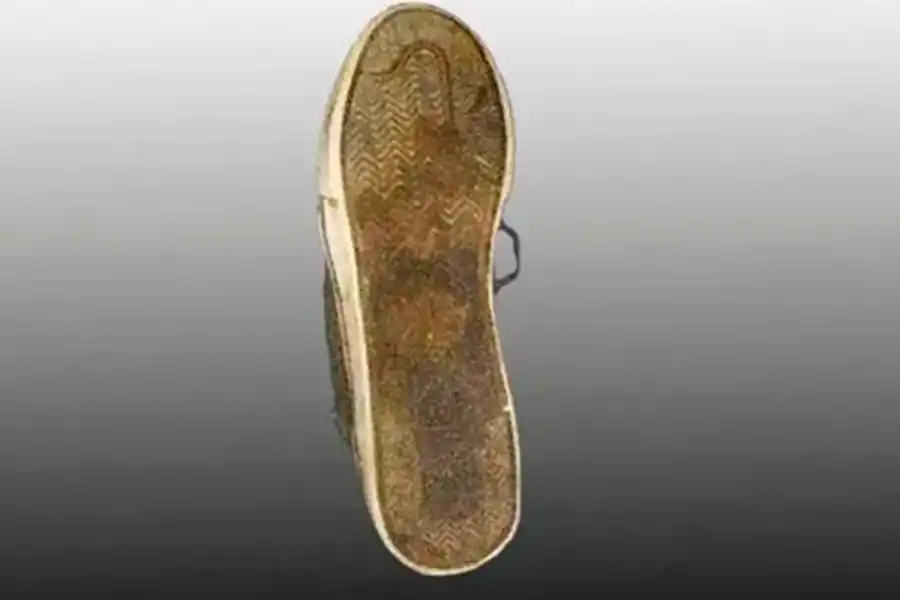 Esta es la zapatilla con la que patearon a Fernando Báez Sosa hasta matarlo