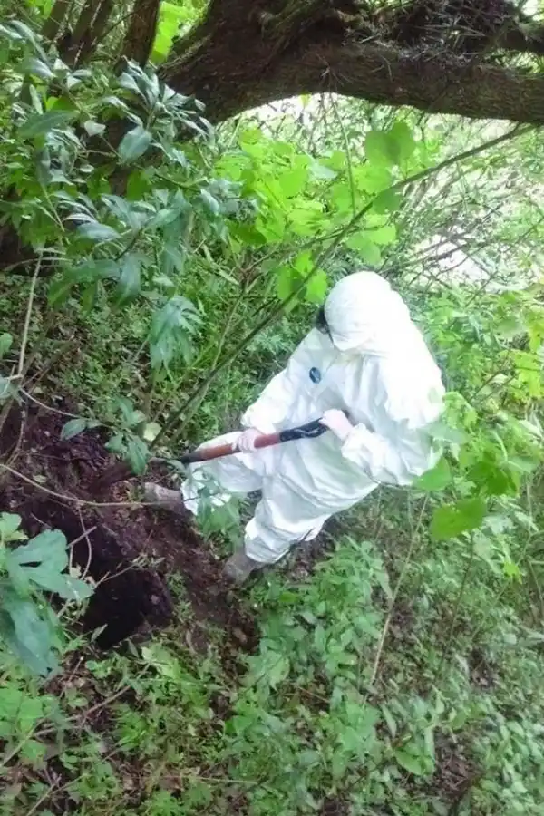 EN LA SELVA. Con técnicas forenses se busca no contaminar las muestras.  gentileza equipo de arqueologia forense reserva de horco molle 