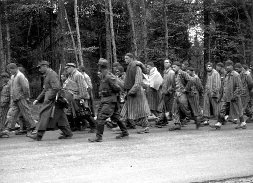 MARCHA DE LA MUERTE. Un grupo de prisioneros judíos deja Auschwitz bajo el control de los guardias de las SS. La evacuación a pie fue una experiencia terrible.