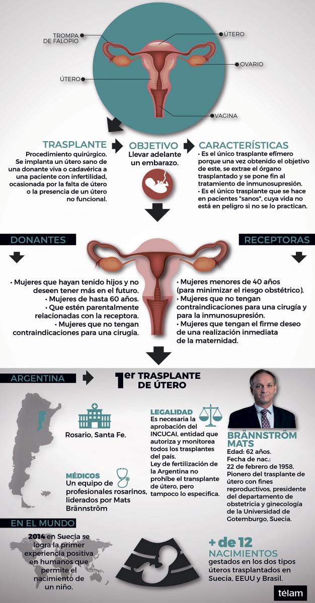 Trasplante de útero: “en Argentina todavía se está en fase de investigación”