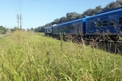 Macabro: tiraba el cuerpo descuartizado de una mujer, y al ser descubierto se clavó un cuchillo