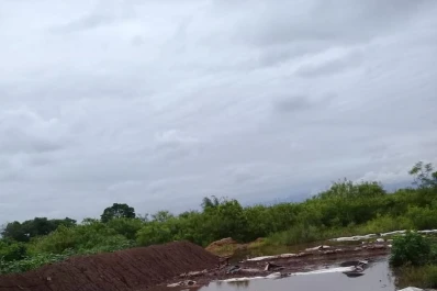 Pedido de emergencia del sector ladrillero