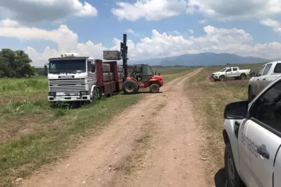 Intensifican tareas para que el HLB no desembarque en Tucumán
