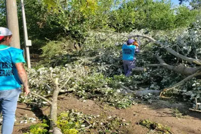 Más que un susto: un tornado sacudió a la localidad de Estación Aráoz