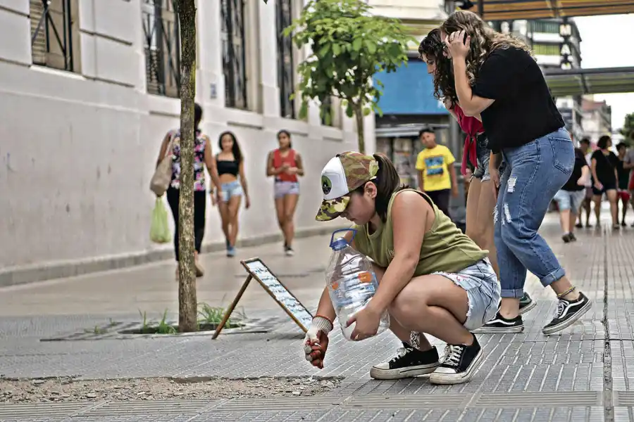 EN PLENA TAREA. Los chicos de 