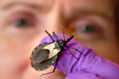 Podrán hacer detección precoz del mal de Chagas usando celulares