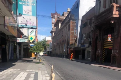 “Repongan el árbol de Córdoba 500”