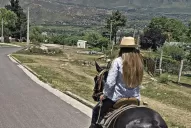 Tafí del Valle: lo que debés saber sobre alojamientos, caminos  y actividades nocturnas