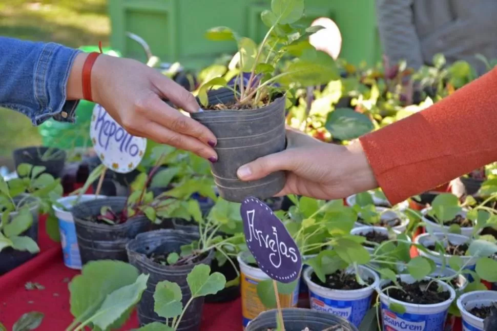 ECO CANJES. Estos encuentros se convirtieron en un clásico en Yerba Buena. archivo   