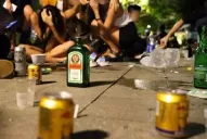 Si alguien joven toma mucho alcohol, realmente tiene muchos problemas, dijo la titular del Sedronar