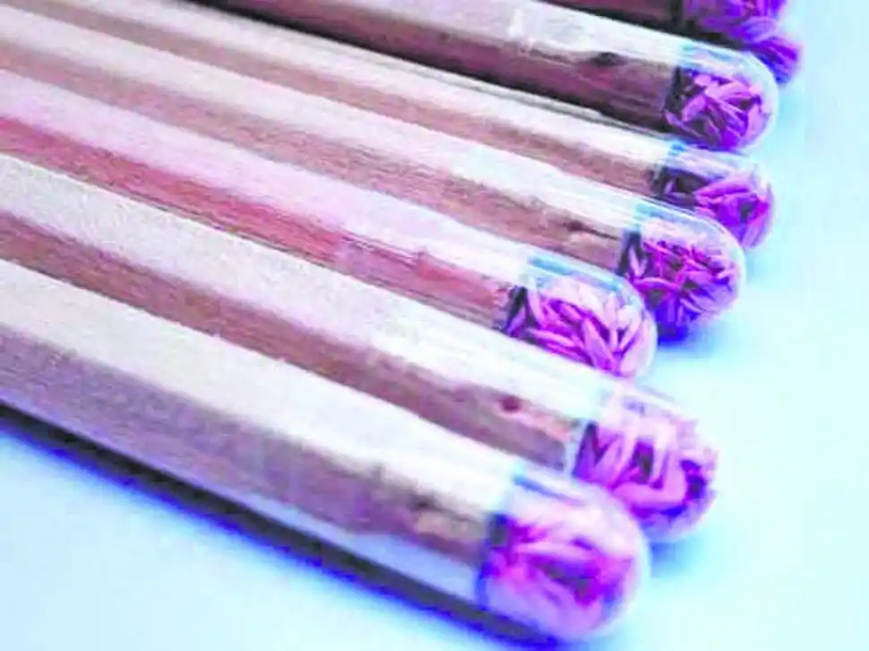 AL ESCRIBIR. Los lápices plantables no generan desechos de mina.