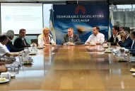 La ministra Chahla expuso en la Legislatura el plan de vigilancia por el coronavirus