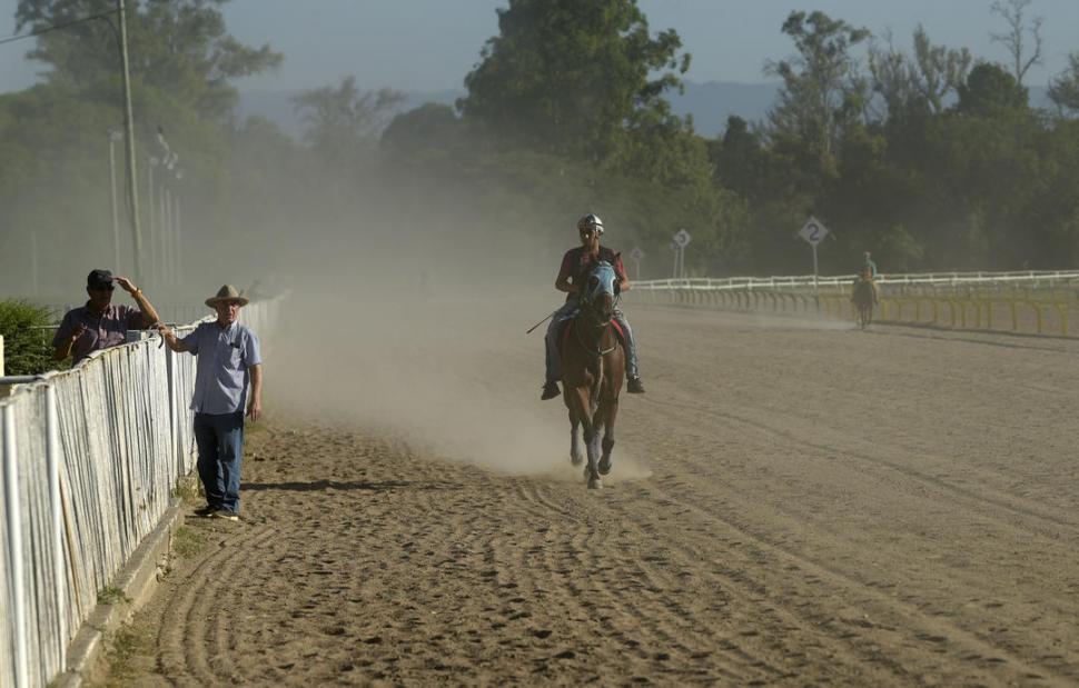 CUADREROS. Los caballos que corren en las pruebas “cortas” también ejercitan en el hipódromo local. 