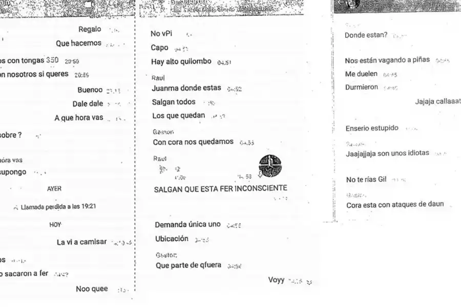 Captura de pantalla de los amigos de Fernando Báez Sosa.