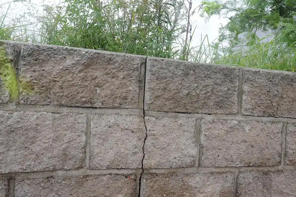 FISURAS. Hay grietas en los canteros por el asentamiento de la tierra. la gaceta / fotos de héctor peralta